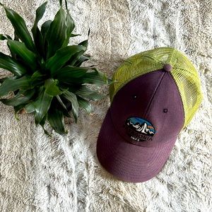 Patagonia Trucker Hat - Purple + Green
